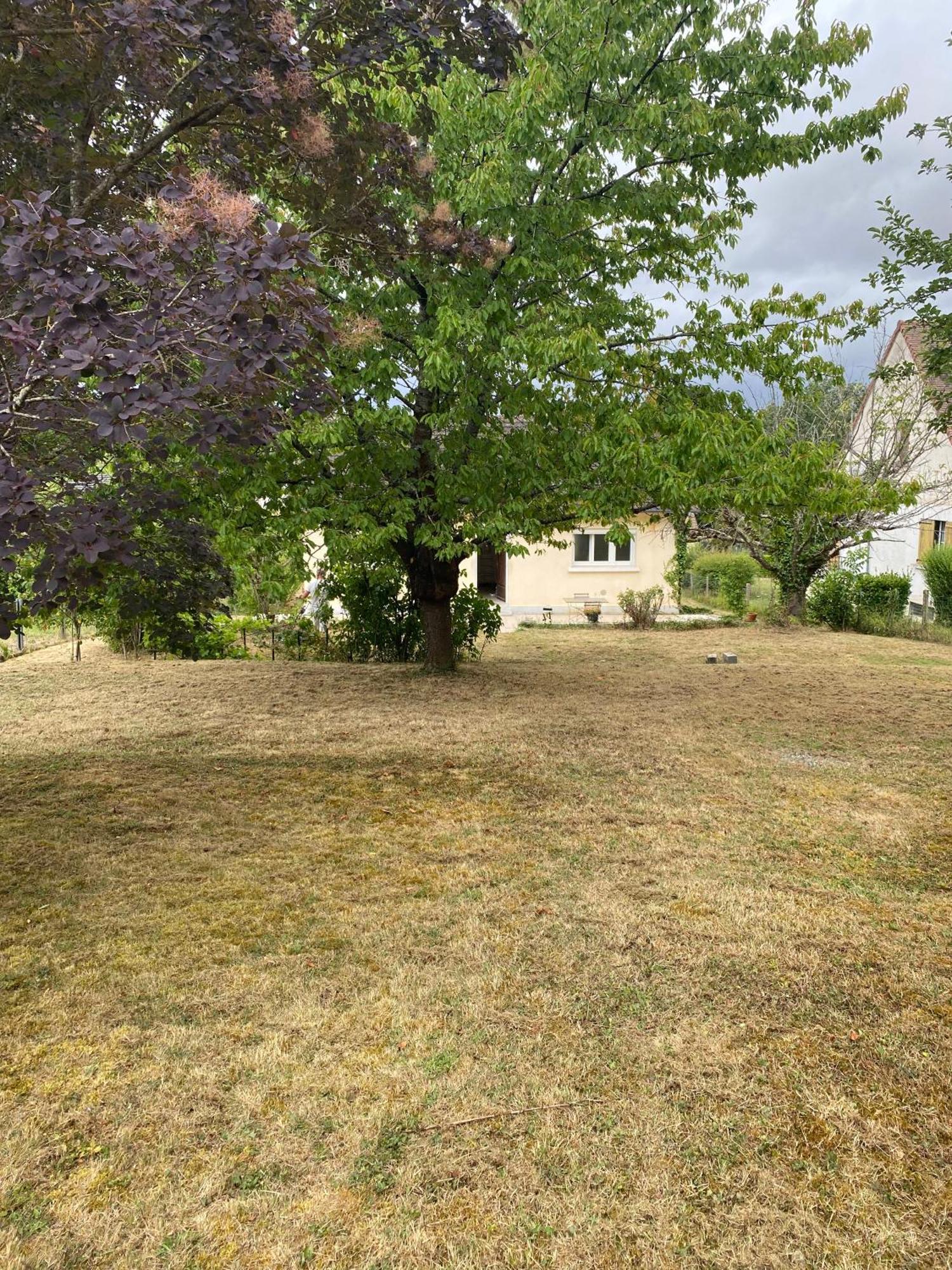 Au Calme - Maison Avec Grand Jardin - Proche Zoo De Beauval Vicq-sur-Nahon Eksteriør bilde